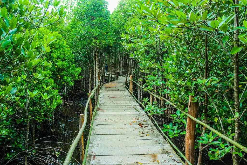 10 Things to Do in Singapore with Family